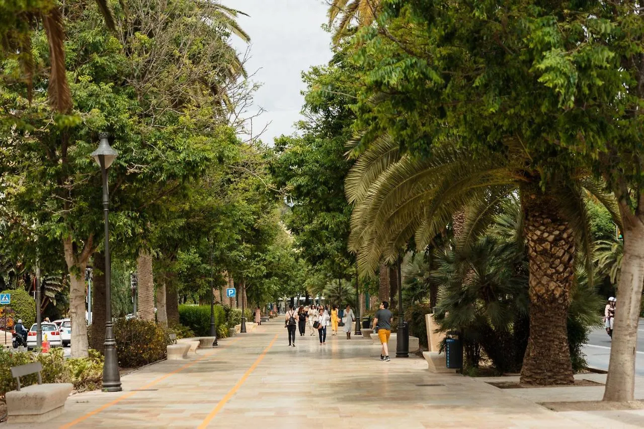 In The Historic Center Of Malaga, Very Close To The Beach And The Ave Train Station, With Private Parking Испания